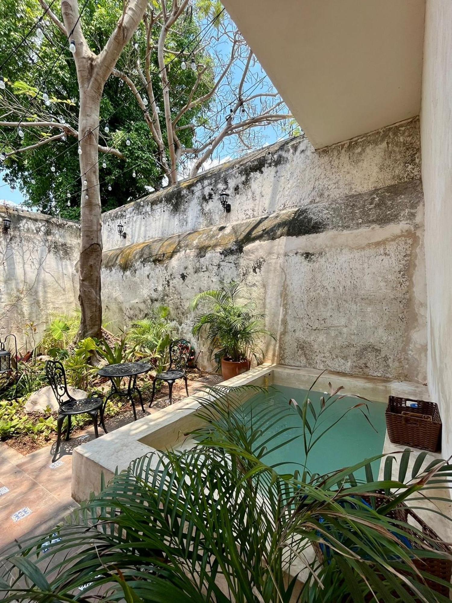 Hotel & Hostal Boutique Casa Garza Mérida Exteriör bild